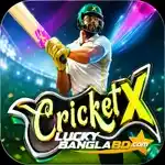 Cricket X - Crash game